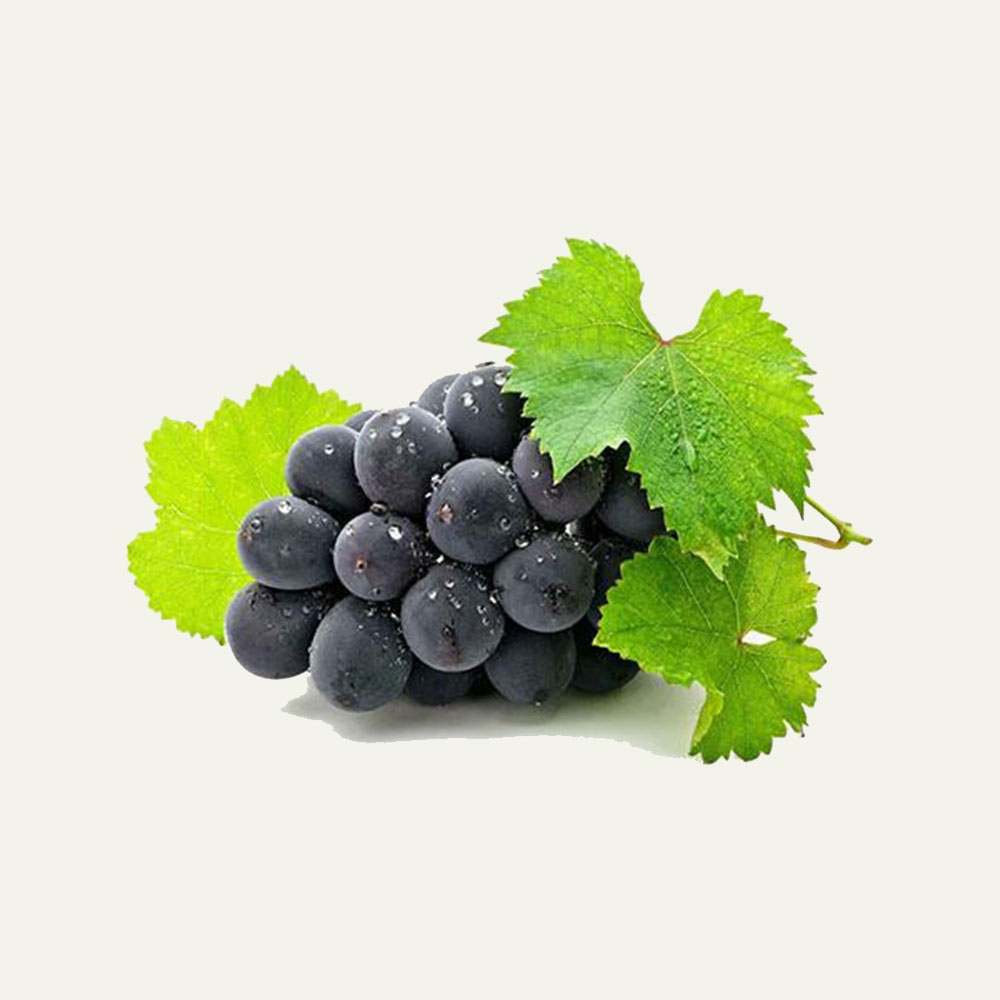 Uvas