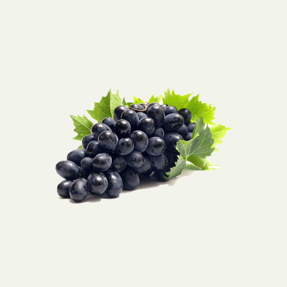 Uvas